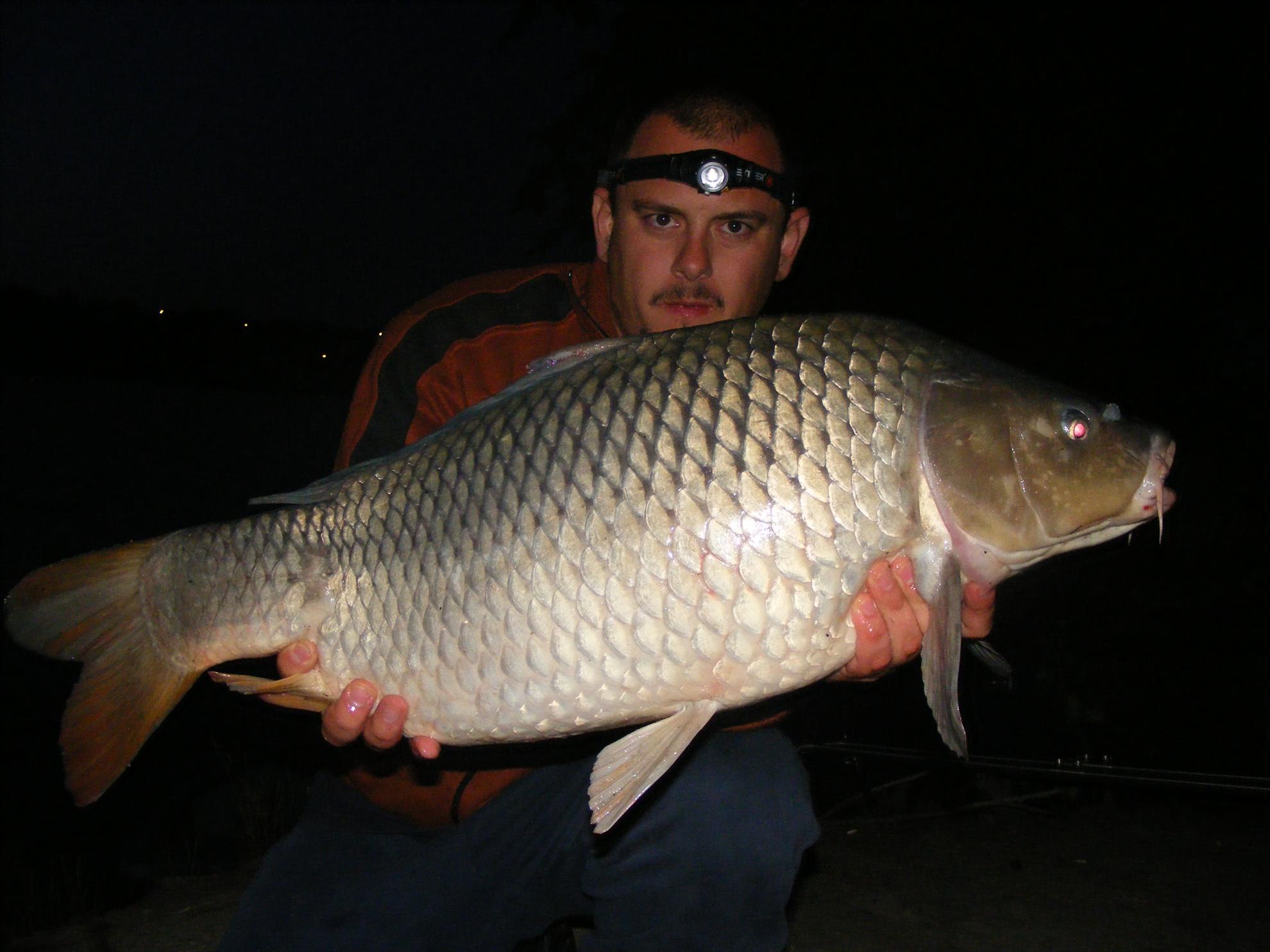 Harsanyi 2013 - dscf6318.JPG